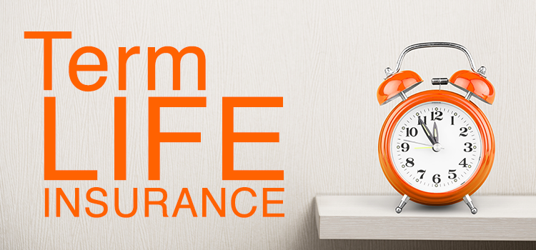 The basics of Term Life Insurance