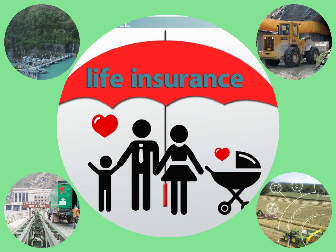 Nepal Life and LIC Nepal Cover almost Half of the Total Investment by Life Insurers